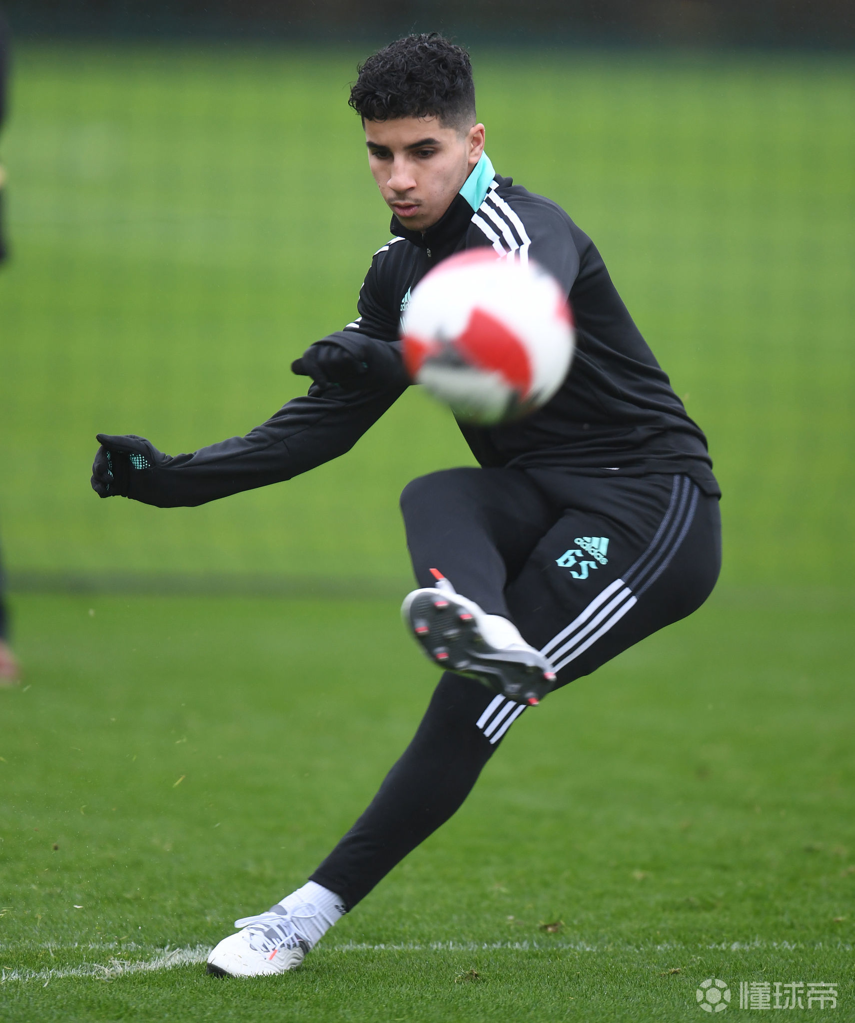 关于转会期多伦多猛龙备战足总杯，外线爆发细节曝光，震撼外界，高层口径保持一致的信息-爱游戏